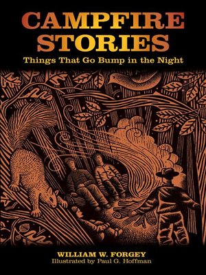 cover image of Campfire Stories